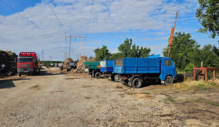 Drva za ogrev Sremska Mitrovica Lacarak Ivica Todorović